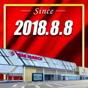 ビックマーチ西川田店