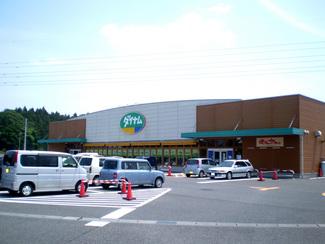 ダイナム大田原店